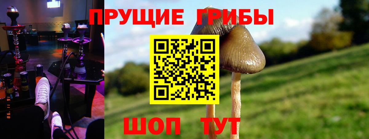 Псилоцибиновые грибы мухоморы Орёл