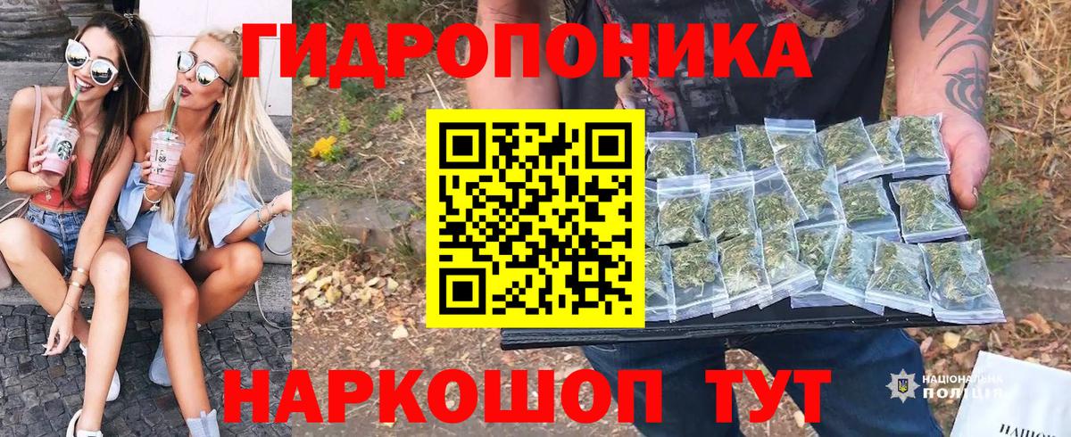 Марихуана Amnesia  Марихуана сатива  Орёл  Вход с VPN 